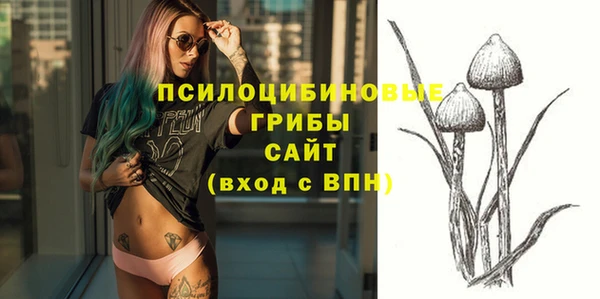 ECSTASY Белоозёрский