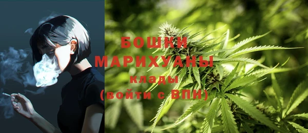 амфетамин Белокуриха