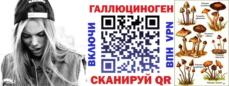 Псилоцибиновые грибы GOLDEN TEACHER  Десногорск 